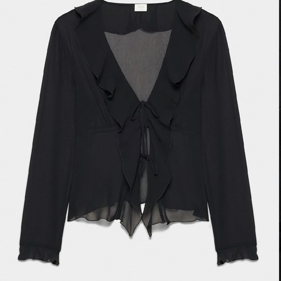Wilfred x Aritzia “Frenchy” Black Sheer Ruffle Blouse - Picture 2 of 7